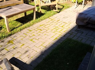 Anchorage Ak Landscaping From 29 1 Landscapers Best Of 2021 Anchorage Ak Landscaping From 29 1 Landscapers Best Of 2021