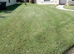 Anderson In Lawn Care Service, Professional Landscaping Services Anderson Indiana
