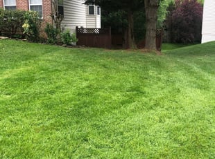 Andover Ma Landscaping From 29 1, Tb Landscaping Andover Ma