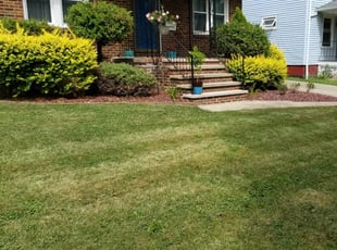 Ardmore Pa Lawn Care Service Lawn Mowing From 19 Rated Best 2021 Ardmore Pa Lawn Care Service Lawn Mowing From 19 Rated Best 2021