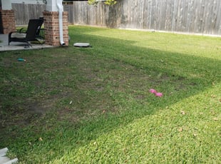 Lawn Care Service Providers Near Me