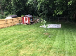 1 Arvada Co Lawn Care Service Lawn Mowing From 19 Best 2021