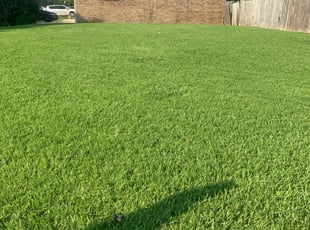 Jessica H.'s Lawn Mowing service in Earthly Lawn Solutions