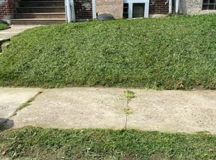 Chris S.'s Lawn Care service in A2Z Lawn care