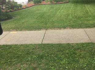 Aurora Il Lawn Care Service Lawn Mowing From 19 Rated Best 2021