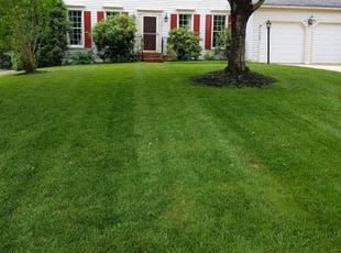 Landscaping services baltimore md