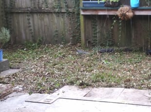 Barberton, OH Lawn Care Service | Lawn Mowing from $19 | Rated Best 2021