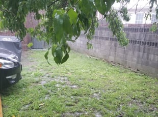 1 Bedford Oh Lawn Care Service Lawn Mowing From 19 Best 2021