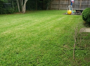 how were lawns mowed in the 1700's