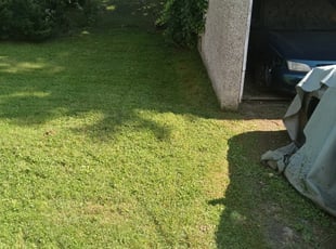 Susan H.'s Lawn Care service in T. Mowntgomery's Lawns Treatment