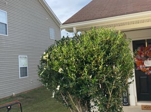 Gary B.'s Lawn Care service in William Spencer's Lawns And Landscape