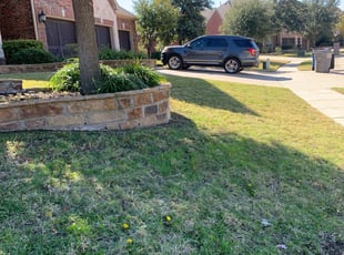 Rebecca M.'s Lawn Mowing service in Holland's Lawns And Landscape