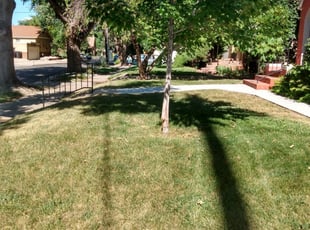 Priscilla P.'s Lawn Mowing Service service in Omar's Lawns And Garden Inc