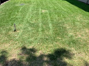 Stephanie D.'s Lawn Service service in C. Forbes's Garden Service