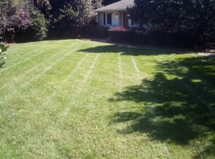Birmingham Al Landscaping From 29 1 Landscapers Best Of 2021