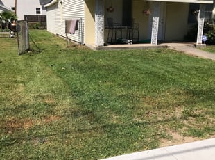 four seasons lawn care san antonio