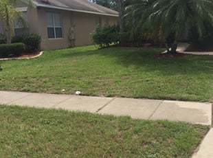 Boone Nc Landscaping From 29 1 Landscapers Best Of 2021