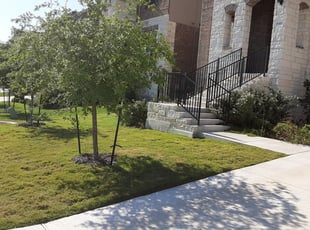 Landscaping companies in brooklyn ny