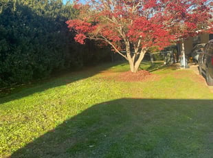 Brooksville Fl Lawn Care Service Lawn Mowing From 19 Rated Best 2021