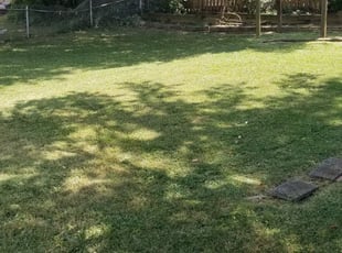 tlc lawn care nj