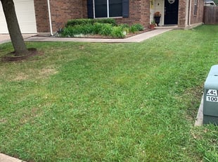 Burlington, NC Landscaping from $29 | #1 Landscapers ...