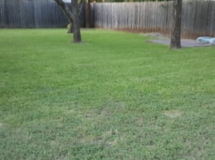 Butler Pa Lawn Care Service Lawn Mowing From 19 Rated Best 2021