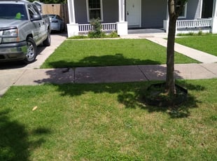 Canton, NC Lawn Care Service | Lawn Mowing from $19 | Rated Best 2021