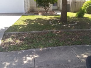 Lee C.'s Landscaping service in Wildlife Gardener Llc
