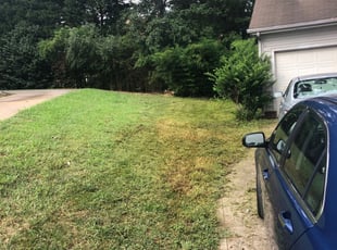 Bob M.'s Landscaping service in Wildlife Gardener Llc