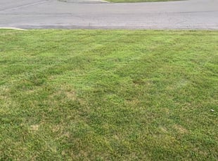 Sharon L.'s Landscaping service in Wildlife Gardener Llc