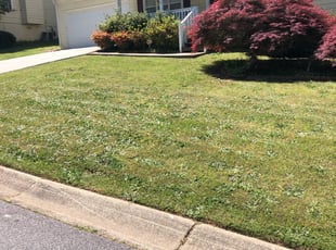 Richard G.'s Landscaping service in Wildlife Gardener Llc