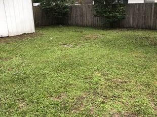 Lenora N.'s Landscaping service in Wildlife Gardener Llc