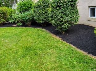 Jim b.'s Landscaping service in Wildlife Gardener Llc