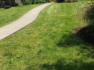 Lynn K.'s Landscaping service in Wildlife Gardener Llc