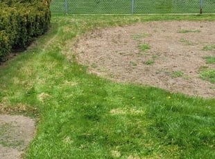 Connie H.'s Landscaping service in Wildlife Gardener Llc