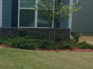 Owen Q.'s Landscaping service in Wildlife Gardener Llc