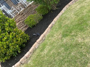 Bobbi B.'s Landscaping service in Wildlife Gardener Llc