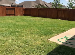 Olivia F.'s Landscaping service in Wildlife Gardener Llc