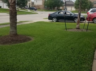 Carmel, IN Lawn Care Service | Lawn Mowing from $19 ...