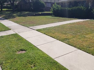 Carrollton Tx Lawn Care Service Lawn Mowing From 19 Rated Best 2021