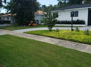 Carrollton Tx Lawn Care Service Lawn Mowing From 19 Rated Best 2021