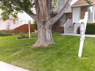 Castle Rock Co Landscaping From 29 1 Landscapers Best Of 2021