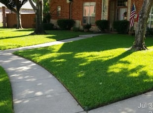 Central Sc Lawn Care Service Lawn Mowing From 19 Rated Best 2021