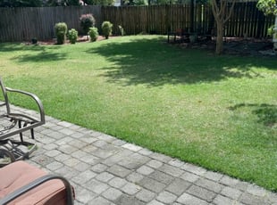 1 Charlotte Nc Lawn Care Service, Charlotte Landscaping Services