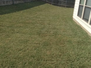 1 Chattanooga Tn Lawn Care Service Lawn Mowing From 19 Best 2021