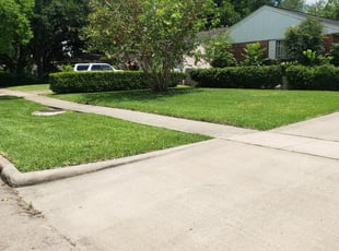 Chevy Chase, MD Lawn Care Service | Lawn Mowing from $19 | Rated Best 2021