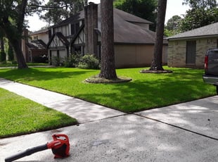 Cheyenne, WY Landscaping from $29 | #1 Landscapers | Best ...