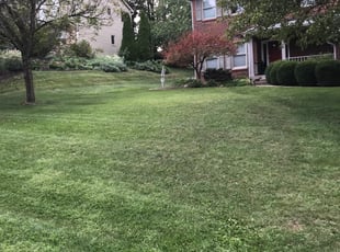 1 Cincinnati Oh Lawn Care Service Lawn Mowing From 19 Best 2021