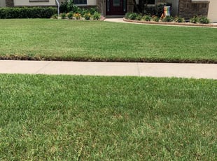 Clinton Md Lawn Care Service Lawn Mowing From 19 Rated Best 2021