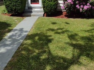 Closter Nj Landscaping From 29 1 Landscapers Best Of 2021